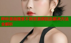 哔咔漫画搜索不到资源原因及解决方法全解析