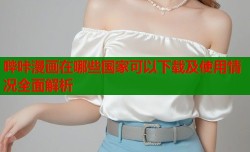 哔咔漫画在哪些国家可以下载及使用情况全面解析
