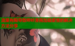 流量有限导致哔咔漫画加载缓慢的解决方法分享