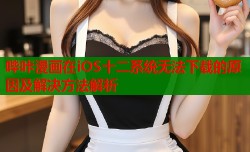 哔咔漫画在iOS十二系统无法下载的原因及解决方法解析