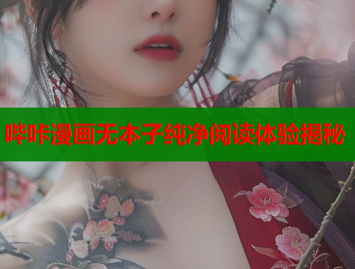 哔咔漫画无本子纯净阅读体验揭秘  第1张