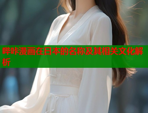 哔咔漫画在日本的名称及其相关文化解析  第2张
